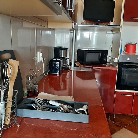 Ultracentral,Parcul Catedralei,Apartament 2 Camere Bacău エクステリア 写真