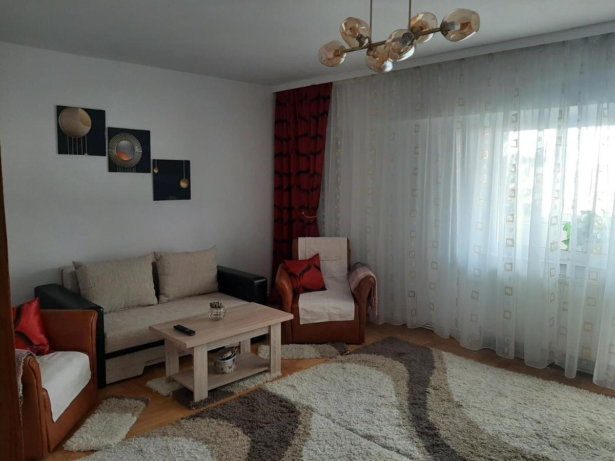 Ultracentral,Parcul Catedralei,Apartament 2 Camere Bacău エクステリア 写真
