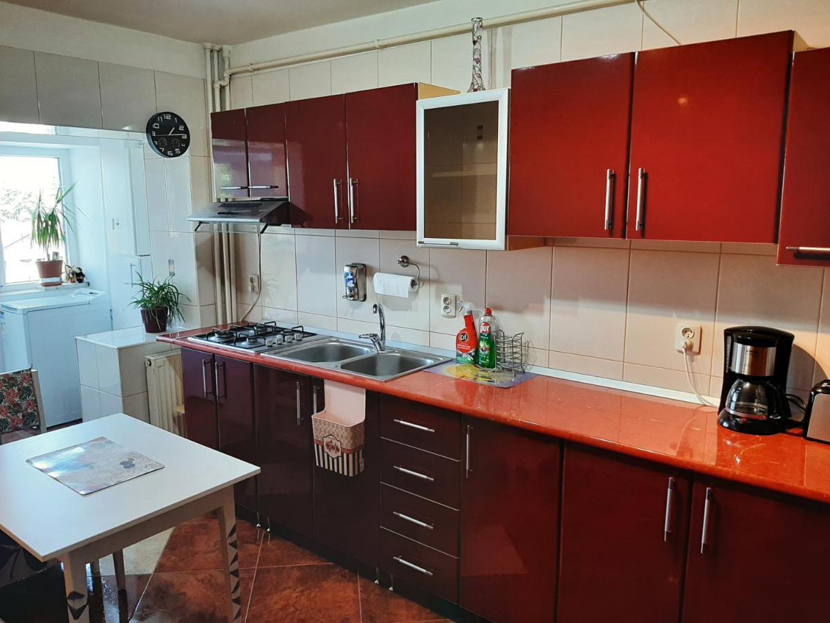 Ultracentral,Parcul Catedralei,Apartament 2 Camere Bacău エクステリア 写真
