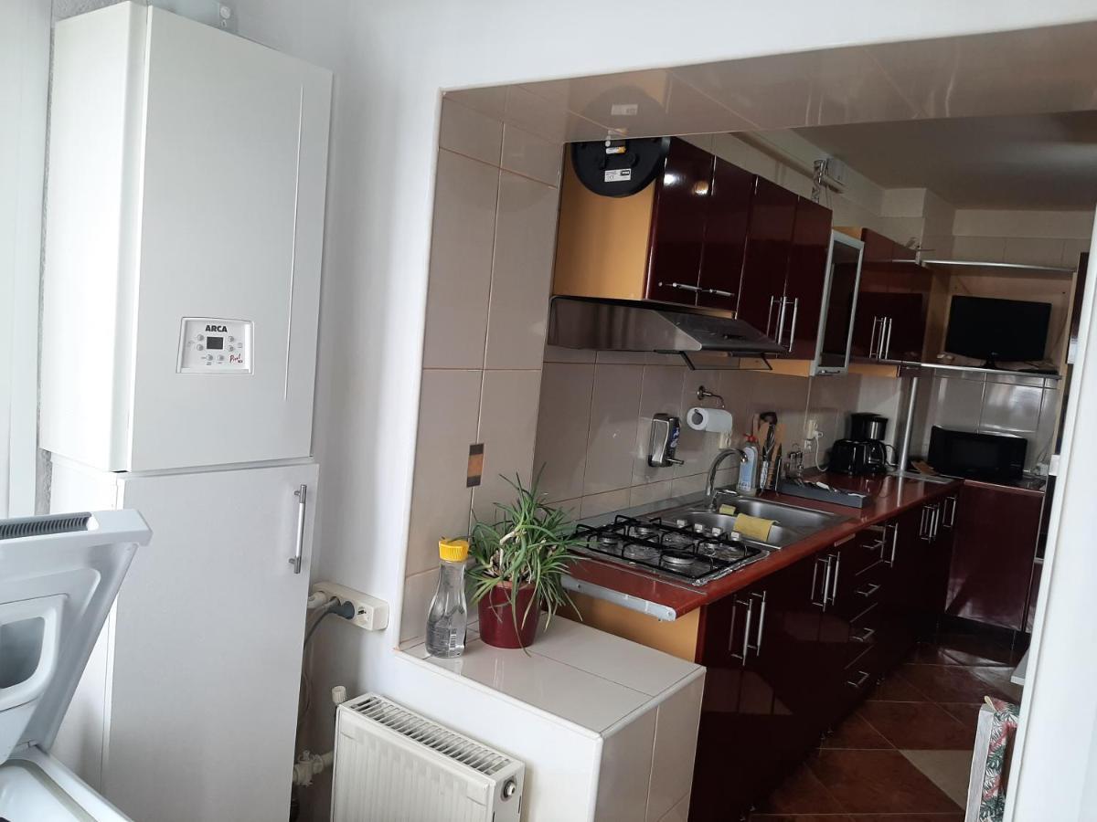 Ultracentral,Parcul Catedralei,Apartament 2 Camere Bacău エクステリア 写真
